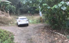 太平近學校公車站農地