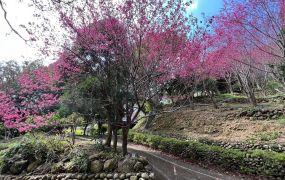 芎林百果莊園+鋼構休閒屋