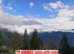 左鎮光和教會一般農地