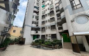 楠梓仁翔低總價華廈直接入住純住家