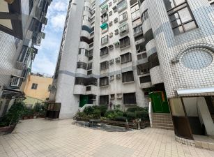 楠梓仁翔低總價華廈直接入住純住家