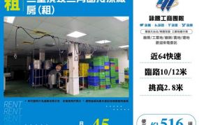 三重頂崁三角窗冷凍廠房(租)12