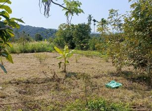 永慶許書豪★冬山近梅花湖農地