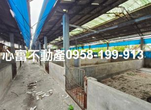 梓官合法畜牧場