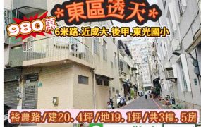 東區裕農路鄰南紡6米路透天厝/售980萬.價可談/林惠美0973386116
