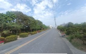 善化茄拔臨路大面寬美農地