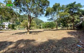 新竹縣芎林鹿寮坑(分管)平坦農地5區出售、坪數面積179坪~219坪之間、售價均在323萬~382萬之間