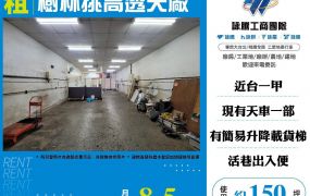 樹林挑高透天廠