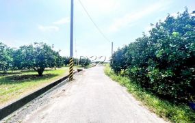 麻豆三角窗大面寬71米都內農地