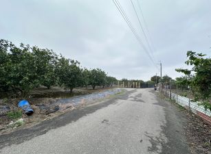 麻豆交流道三角窗都內農地