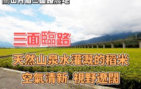 縱農197_關山月眉三面路農地