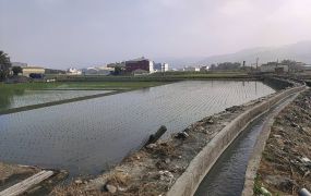 田中近雙鐵5.6分田