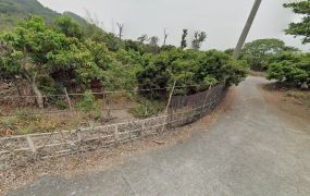 田中鳳梨園龍眼特區