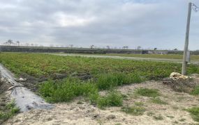 水上南靖農地08-040    05-2310186