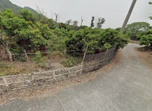 田中鳳梨園龍眼特區