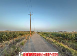 佳里低總價面寬14米農地(3塊大小可選)