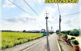 歸仁八甲2.6分有水電美農地【#歸仁區農地】