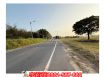 六甲12米路大面寬有電農地
