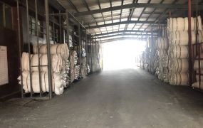 中壢/挑高15米/鋼構廠房(可廠登) •    桃園廠房工業地買賣/建地/徵收農地/廠房出租
