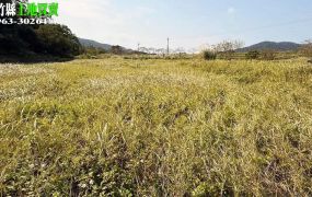 新竹縣新埔鎮一般農業區臨路平坦農地