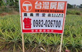 專售嘉義市黃金地段林森東路農地
