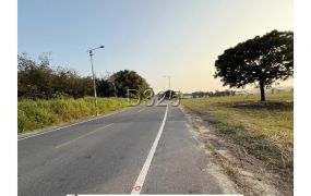 六甲12米路大面寬有電農地