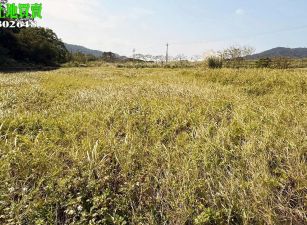 新竹縣新埔鎮一般農業區臨路平坦農地