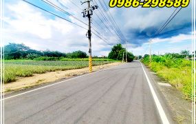 高鐵特區3.6分雙臨路農地【#歸仁區農地】