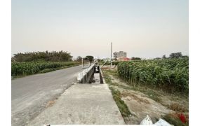 學甲518坪有水電方正農地