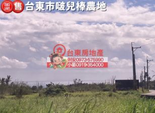 台東房地產 / 台東市啵兒棒農地