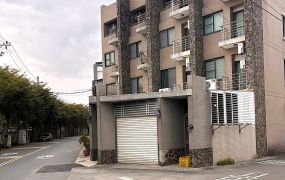 南科綠藝藏萃孝親宅