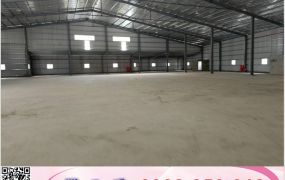 大園全新挑高鋼構倉儲房/桃園工業地廠房買賣租賃