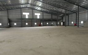 大園/挑高7.5米/倉庫廠房 •    桃園廠房工業地買賣/建地/徵收農地/廠房出租