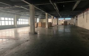 中壢工業區漂亮分租廠