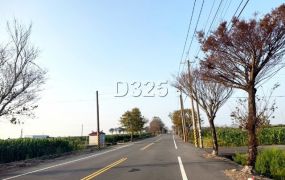 新營姑爺段平坦農地
