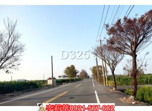 新營姑爺段平坦農地