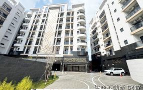 新市綠美新境全新二房+車位