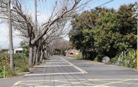將軍角帶圍6.6分雙面臨路農地
