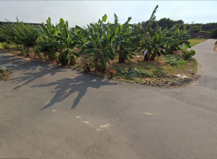 后里區犁份路特定農地、土地完整，近國道1號