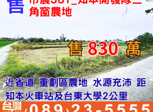 市農381_知本開發隊三角窗農地