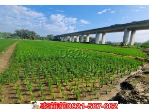 官田都計內優美農保地