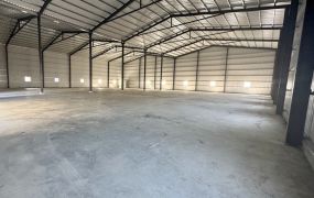 八里台15線旁/雙面路/挑高廠房 •    新北市廠房工業地買賣/建地/徵收農地/廠房出租