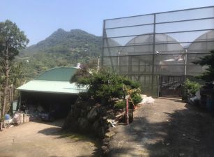 太平近學校合法大溫室大厝