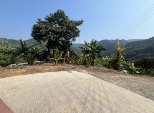 太平大湖近學校公車景觀地