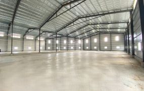 林口近61/挑高7米/倉庫廠房 •    新北市廠房工業地買賣/建地/徵收農地/廠房出租