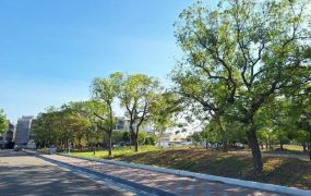 安平白鷺灣56坪三角窗建地