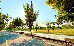 高鐵面公園漂亮建地