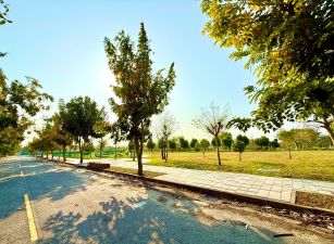 高鐵面公園漂亮建地