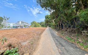 大雅路正路邊大面寬農地22-011   05-2310186