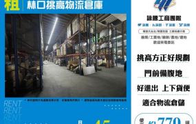 林口挑高物流倉庫166